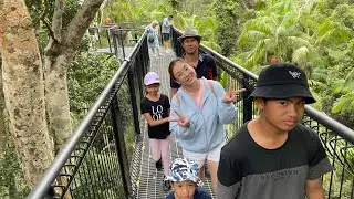 Tamborine Mountain Skywalk: A Breathtaking Escape Just an Hour from Brisbane and the Gold Coast!