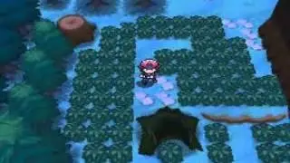 pokemon black and white catching Yanappu Baoppu Hiyappu