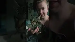 Unique cat markings: pure charm #catsrule