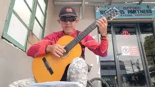 Lemon tree cover