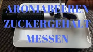 Aroniabeeren Zuckergehalt messen in Brix mit einem Refraktometer