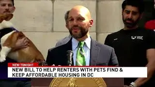 DC Councilmember proposes bill to cap pet fees, end dog breed restrictions in housing