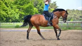 Horsti *-*