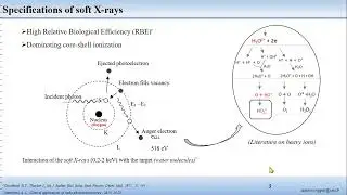 Radiation chemistry: Superoxide radical anion detection