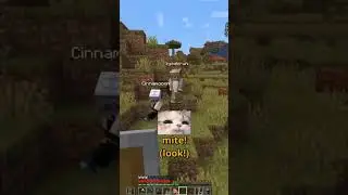 playing minecraft with my japanese friends