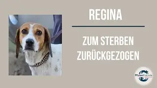 Zuhause gefunden - Regina - zum Sterben zurückgezogen