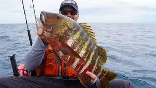 Рыбалка на байдарках в открытом море с экскурсиями в Панаме