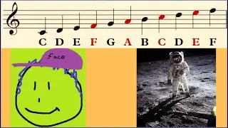 FACE in the SPACE (in the FACE in the SPACE in the FACE in the SPACE in the FACE in the SPACE)