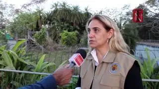 Tendências e Negócios | Zoológico de Brasília