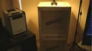 До безумия
