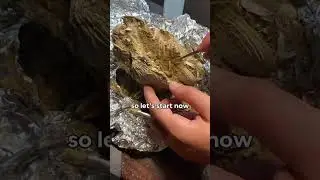 Procardium fossil preparation part2 #fossilprep #fossilhunting