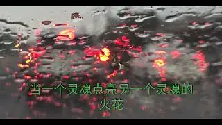 萍聚京城  回家的路