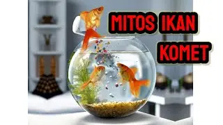 MIT O RYBIE KOMETY