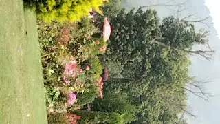 Nishat Garden, Mughal Garden, Dal Lake,terraced lawns, fountains, flowers, Kashmir tourism, heritage