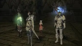 Final Fantasy XIV - Patch 4.1 Command Missions Tips (Wanderer's Palace)