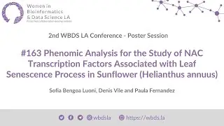 2nd WBDS-LA | Virtual Poster Session - Poster #163