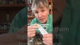BEST human OTC med for a Pet with red and itchy skin!