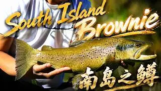 Most beautiful trout country ever 南岛之鳟