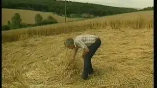 Equinox: The Strange Case of Crop Circles 1991 - (5 of 6)