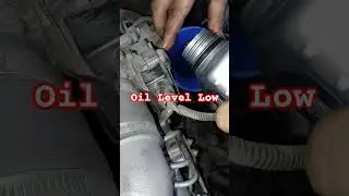 Transmission Fluid Level @carsclingtv