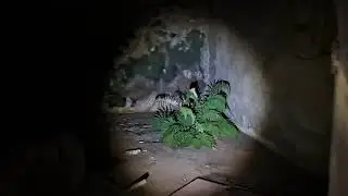 voltamos no casarão abandonado!! Que loucura!!