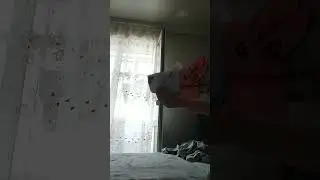 27 июня 2023 г.