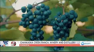 Wine Olympics in Kasota