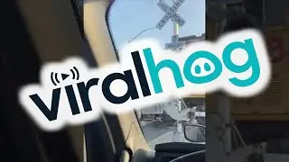 Trucker Makes Friend at the Tracks || ViralHog