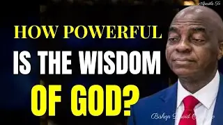 HOW POWERFUL IS THE WISDOM OF GOD? BY  David Oyedepo