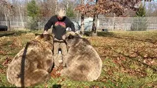 Susan w/Jenny & Amy. Hear Jenny&rsquo;s purring sound ? Look how sweetly they take oranges from Susan.