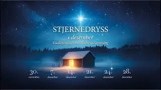 Gudstjeneste 28. desember | Tine Suman Hodne
