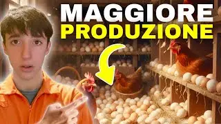 RADDOPPIA la PRODUZIONE di UOVA con quest&rsquo;ALIMENTAZIONE!📈 (guida completa)