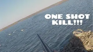 BUFFLE HEAD ONE SHOT SLAY!!!! #duckhunting #marsh #retay