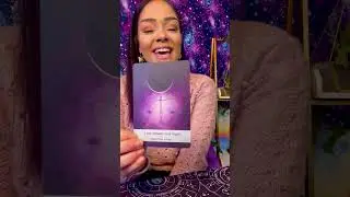 Revealing Romance 🥰💘 Insights into your new love connection ✨ #romancetarot #tarotlovereading