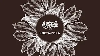 Torrefacto в Coffea diversa (Коста-Рика). Вступление