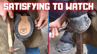 Satisfying to watch. The farrier is trimming and shoeing Queen👑Uniek and Reintje | Friesian Horses
