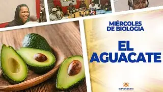 EL AGUACATE - Ariel Santana