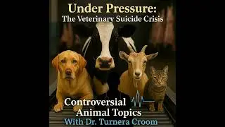 Under Pressure: The Veterinary Suicide Crisis