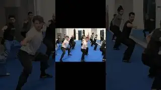 Shaolin Kung Fu 🔥Maestro Shi Yan Hui