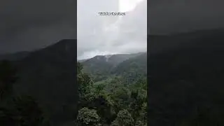 📍 Dudhsagar Waterfalls | Goa | Train to Paradise #dudhsagar #goa #travel #shorts #viral