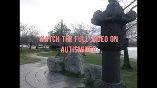 Autism: First Year Teacher