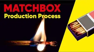 Machis Factory me kaise banti he | Matchbox Factory Production Process | Factory Skills
