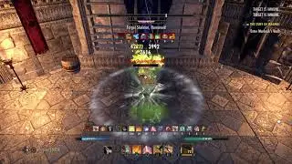 Stamina Dragonknight wolfhunter  45k DPS