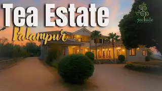 Experience Colonial Living in Tea Gardens | Seclude Tea Estate Palampur