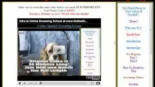 Grooming school onlinegroomingschool.com