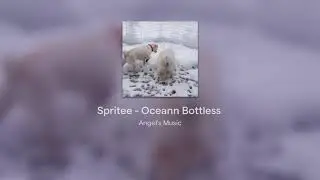 Spritee - Oceann Bottless