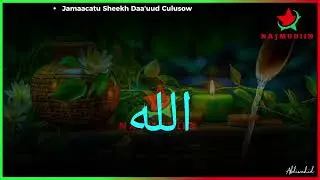 لا إله إلّا اللّه