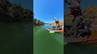 Learning how to fish a jig | #shorts #fishing #kayakfishing #bassfishing #jigging