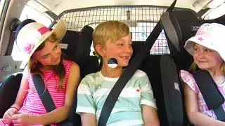 Passenger safety with Jeff the Road Safety Dog