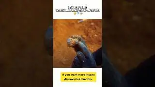 He Was Just Mining&hellip; Until a $100,000 Crystal Fell Out 😱💎 #RankedMining #CrystalFind #shorts